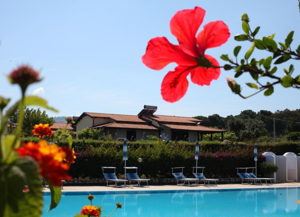 Agriturismo Ninea Ricadi Exterior photo