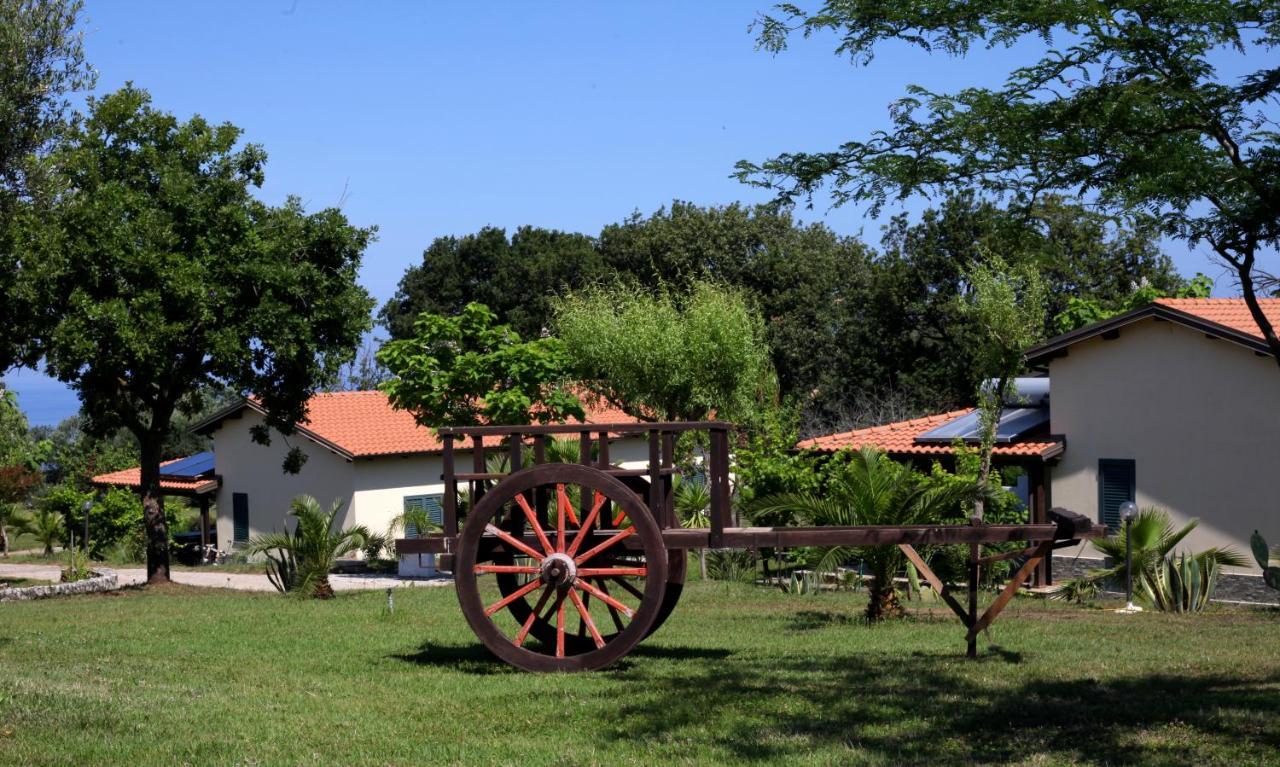 Agriturismo Ninea Ricadi Exterior photo
